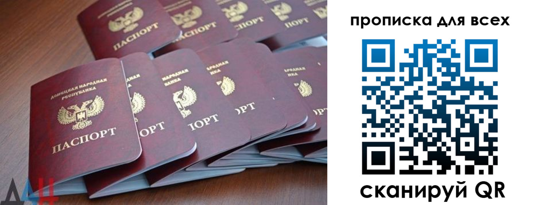 прописка в Сольцах